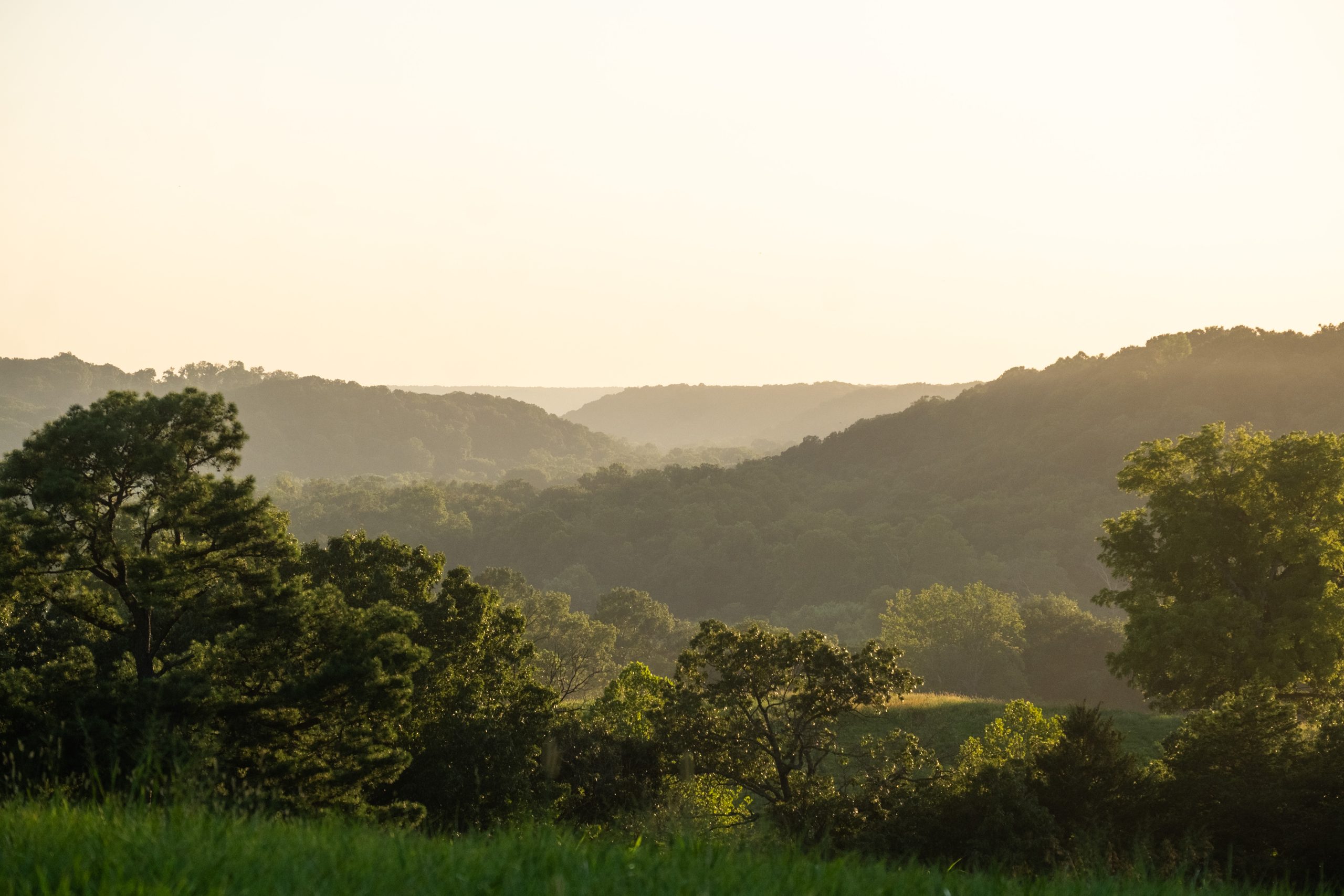 Golden-hour view over the wooded hills of the Northwest Arkansas campus